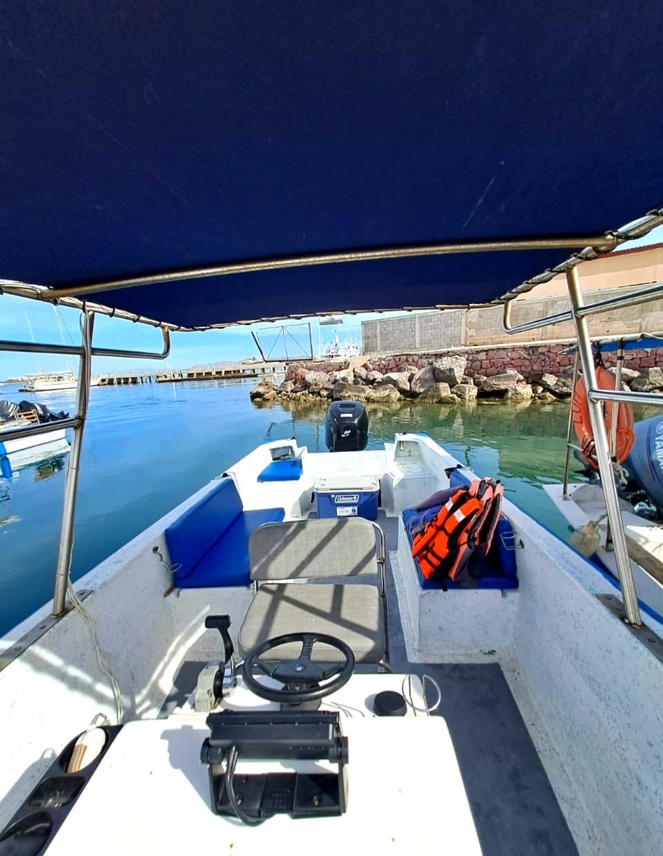 26 ft Fortuna image cabo fishing charters in Cabo San Lucas 4513b90c-4bcd-4a6b-820f-cac2ef3429aa (1).jpeg
