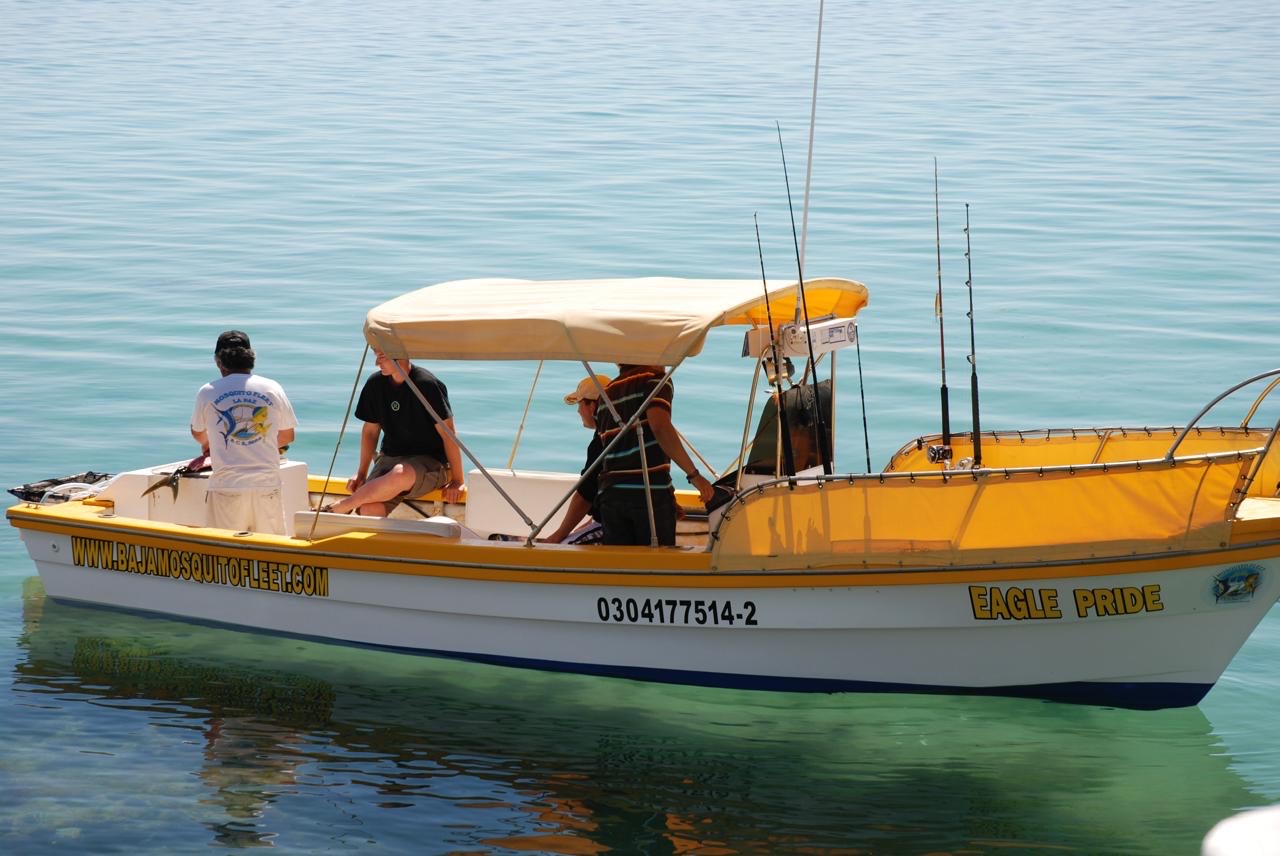 22 ft Eagle Pride image cabo fishing charters in Cabo San Lucas b69efadb-97e8-419b-8230-a7109c0f6a7f.jpeg 22 ft Eagle Pride image cabo fishing charters in Cabo San Lucas b69efadb-97e8-419b-8230-a7109c0f6a7f.jpeg