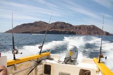 22 ft Eagle Pride image cabo fishing charters in Cabo San Lucas 8785e8a4-8419-4ac7-a2c4-d4e98d0faff5.jpeg