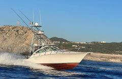 40 ft Chinito image cabo fishing charters in Cabo San Lucas IMG-20250527-WA0020.jpg