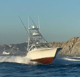40 ft Chinito image cabo fishing charters in Cabo San Lucas IMG-20250527-WA0021.jpg