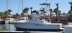 36 ft Hard Efforts image cabo fishing charters in Cabo San Lucas WhatsApp Image 2025-07-28 at 4.33.41 PM.jpeg