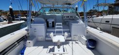 36 ft Hard Efforts image cabo fishing charters in Cabo San Lucas WhatsApp Image 2025-07-28 at 4.33.43 PM (8).jpeg