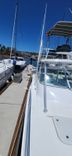 36 ft Hard Efforts image cabo fishing charters in Cabo San Lucas WhatsApp Image 2025-07-28 at 4.33.44 PM.jpeg