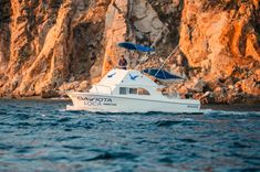 28 ft Gaviota Loco image cabo fishing charters in Cabo San Lucas WhatsApp Image 2026-03-09 at 2.00.57 PM (3).jpeg