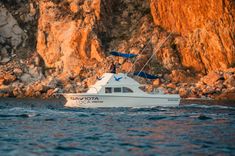 28 ft Gaviota Loco image cabo fishing charters in Cabo San Lucas WhatsApp Image 2026-03-09 at 2.00.58 PM (8).jpeg
