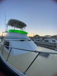 32 ft Gotta Go image cabo fishing charters in Cabo San Lucas WhatsApp Image 2026-03-14 at 10.48.46 AM2.jpeg
