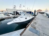 26 ft Niebla image cabo fishing charters in Cabo San Lucas WhatsApp Image 2026-04-27 at 2.17.20 PM (1).jpeg