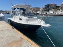 26 ft Niebla image cabo fishing charters in Cabo San Lucas WhatsApp Image 2026-04-27 at 2.17.26 PM (2).jpeg