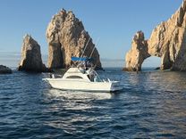 33 ft Marisol II image cabo fishing charters in Cabo San Lucas WhatsApp Image 2026-05-14 at 8.06.32 AM (5).jpeg