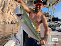 22 ft Agape image cabo fishing charters in Cabo San Lucas b86b0928-2566-4963-89b6-4f41bdb633e2.jpeg